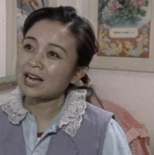 回顾刘莉莉30多岁相亲嫁圈外人为家庭放弃事业今女儿成她骄傲