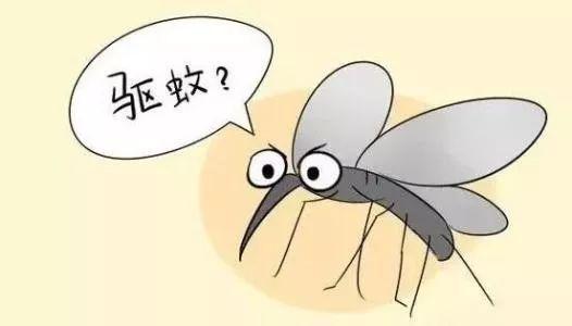 九成人不知蚊子最大天敌是啥教你简单1招蚊子跑光了