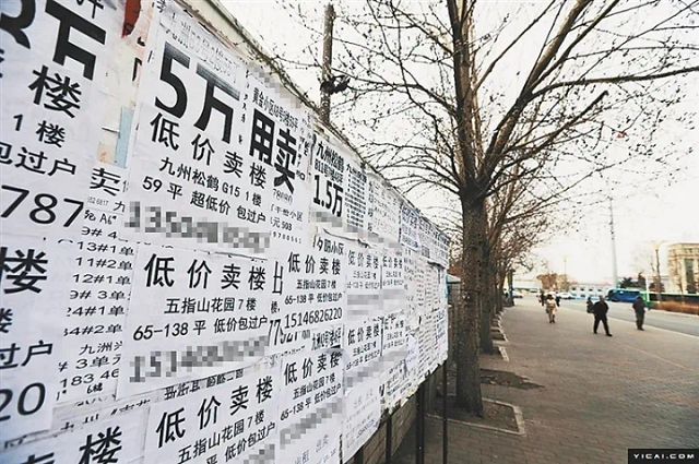 新闻中说,鹤岗是如今全国房价最低的城市之一,让郑前感到一丝好奇.