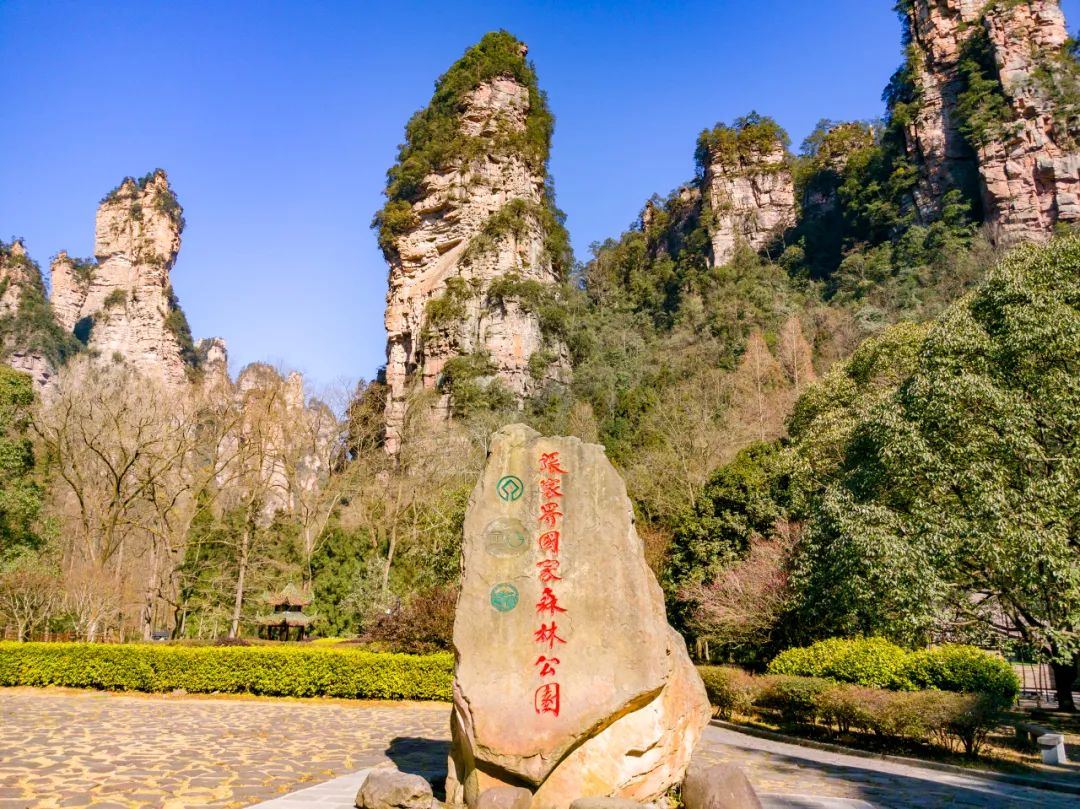 为啥湖南张家界成为了韩国人的尽孝宝地