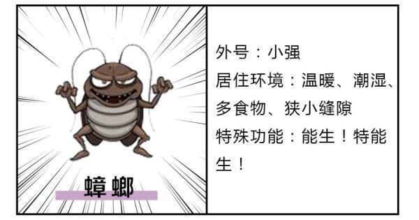 九成人不知蟑螂天敌是啥1个蠢法子蟑螂跑光光了