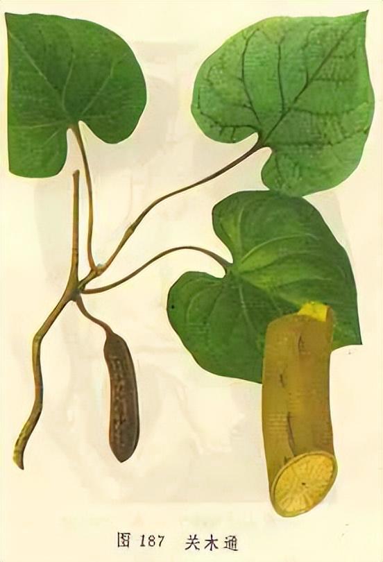 21年前那个揭露龙胆泻肝丸致尿毒症的记者朱玉现状如何