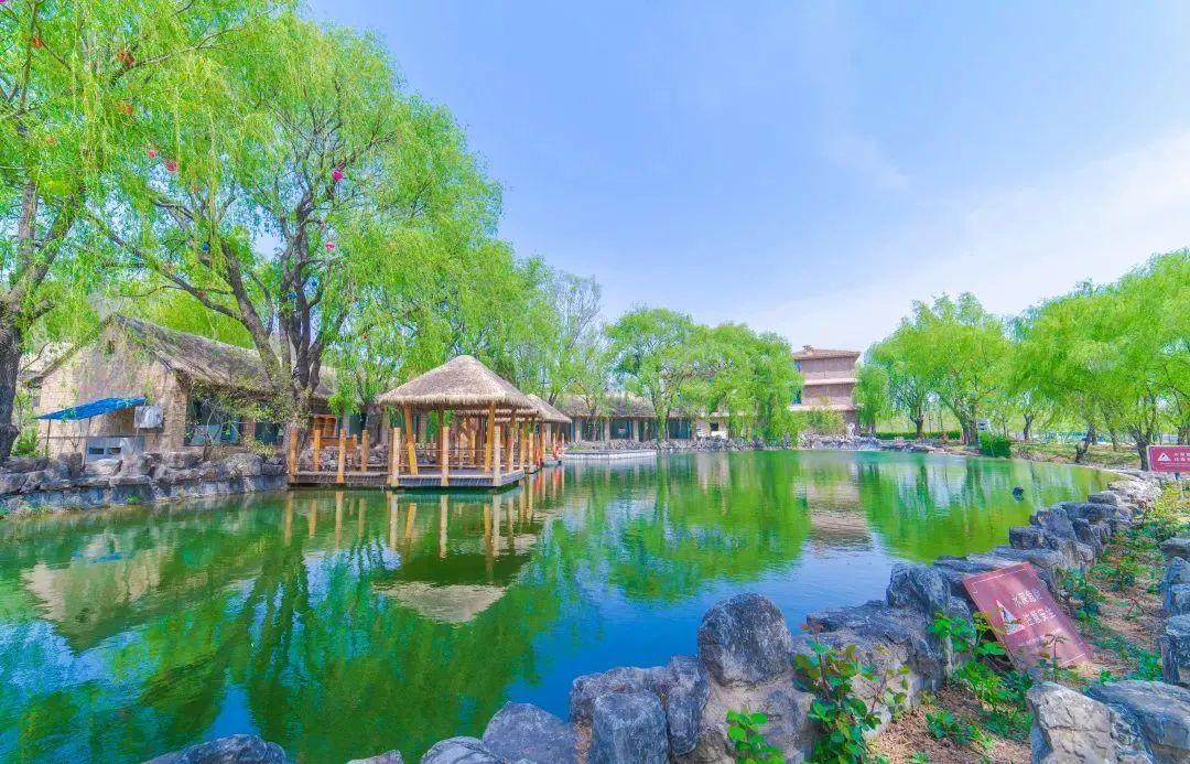 放假半天上百家景区免费优惠来袭所有公主女神冲冲冲