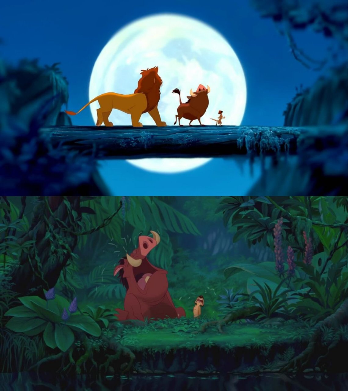 《狮子王》  90这部电影真的是我的童年回忆啊!