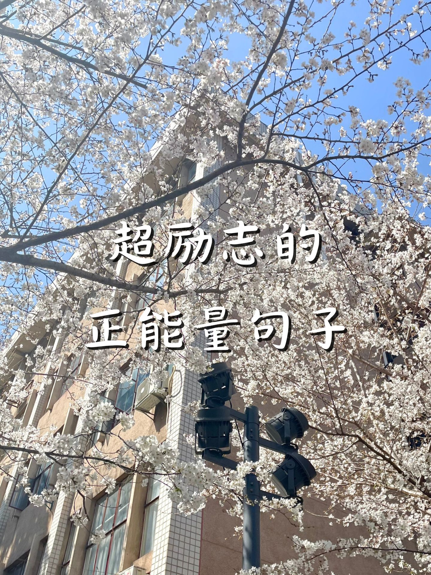 正能量满满的励志句子(正能量满满的励志句子50字)