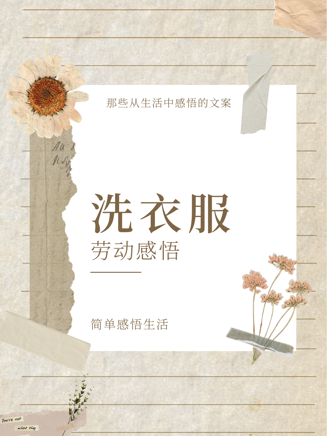 洗衣服的劳动感悟