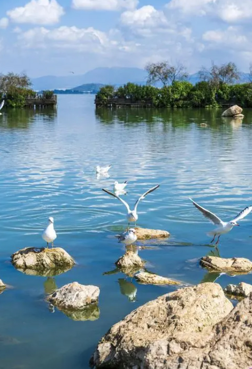 位于云南省昆明市.滇池古称滇南泽,关于滇池名称的由来有四种说法.