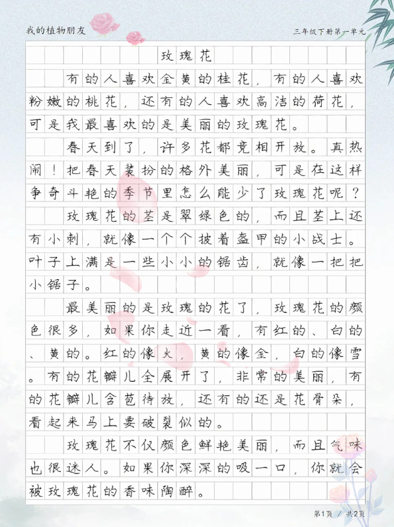 植物作文300字玫瑰花图片