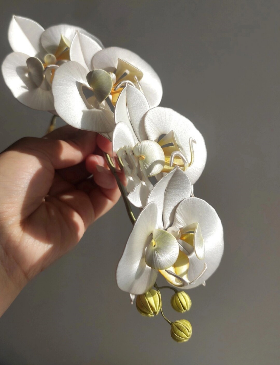 非遗缠花蝴蝶兰  🌟在浩渺的文化长河中,非遗缠花蝴蝶兰以其独特的