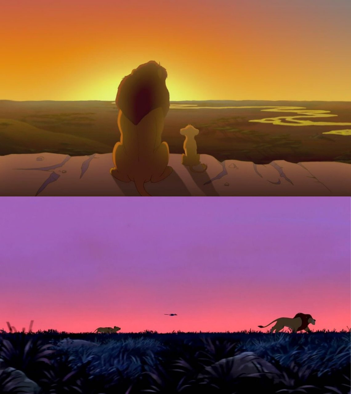 《狮子王》  90这部电影真的是我的童年回忆啊!