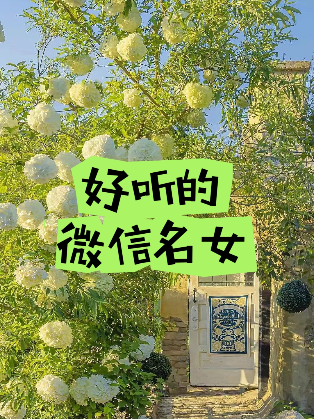 好听的微信名女