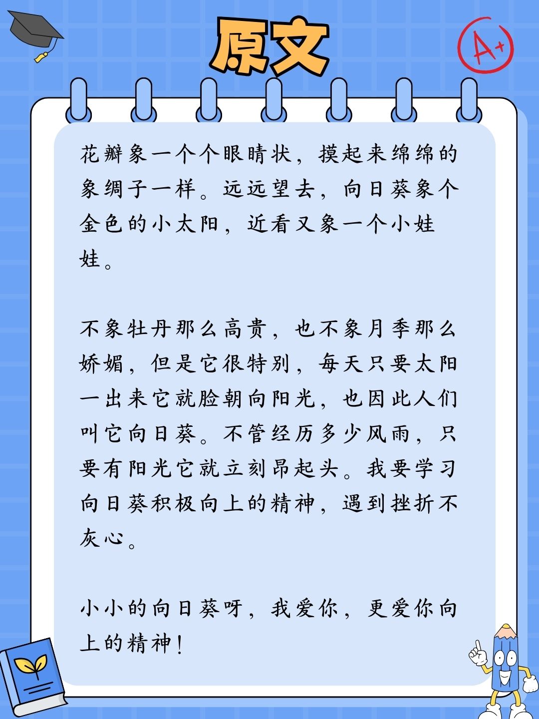 向日葵作文300字描写图片