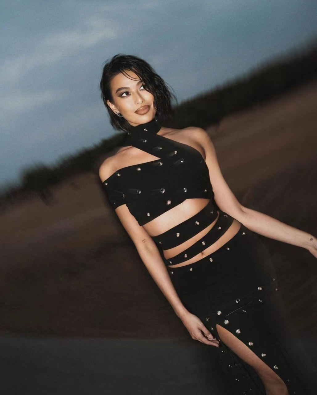 菲律宾选美冠军之米歇尔·李  环球小姐(miss universe),世界小姐