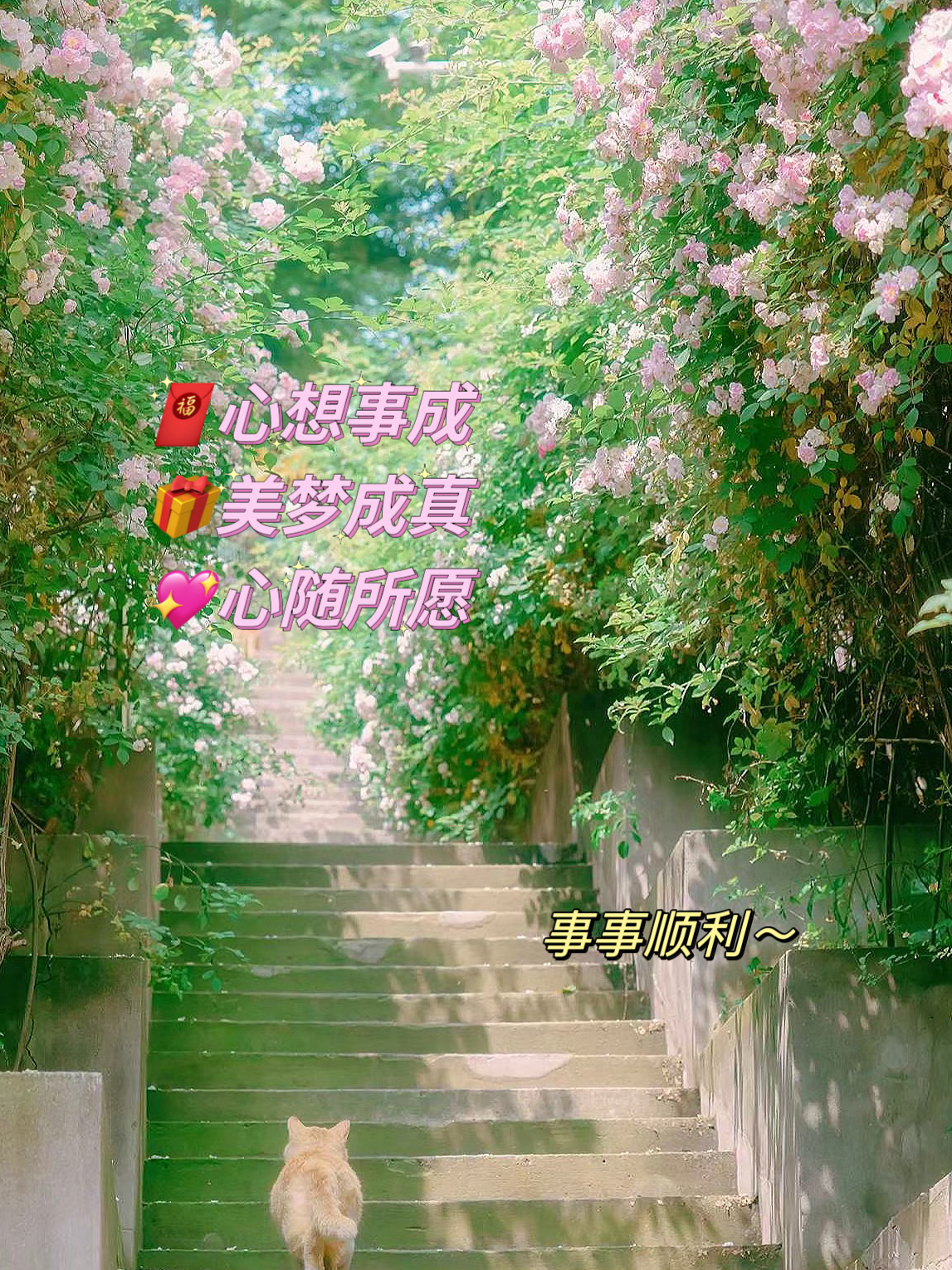 象征一切顺利美好的成语 哈喽呀～宝子们这些成语都寄托了人们对美好