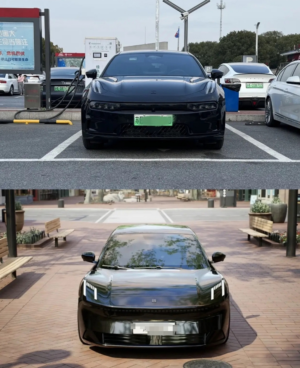 我感觉还是觉得老蛤蟆灯更好看,你们觉得呢?