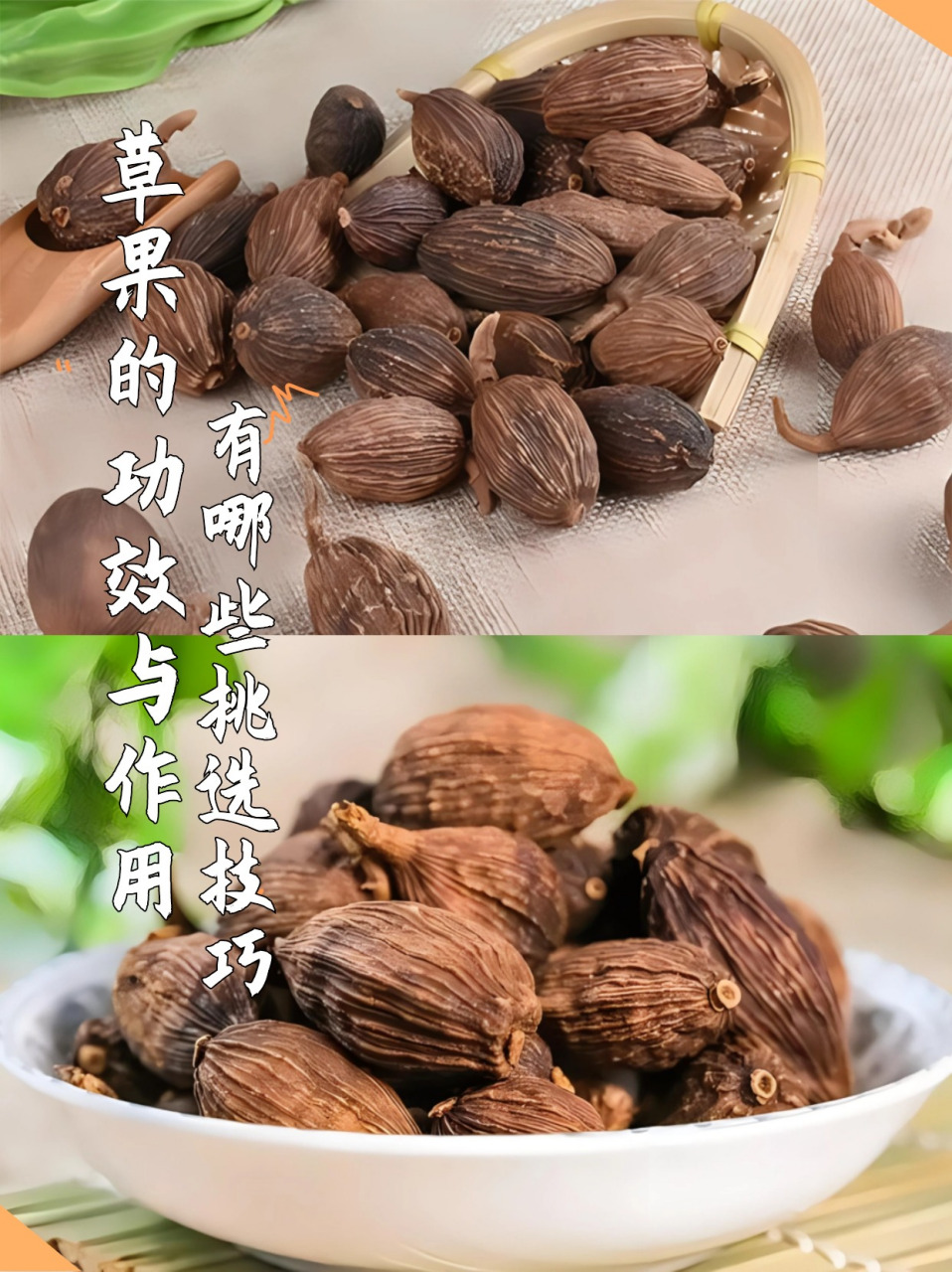 草果香料的作用和图片图片