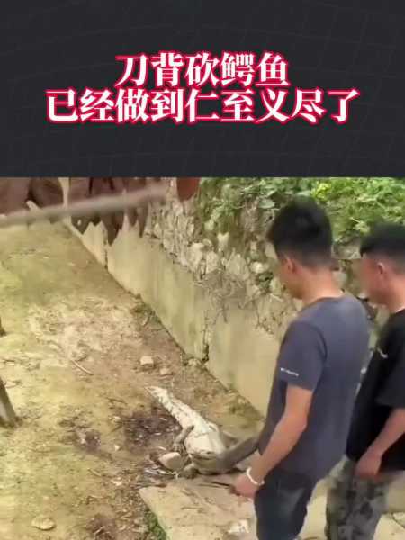 1万张老三罕见发火怒喷队友,什么人能让三哥