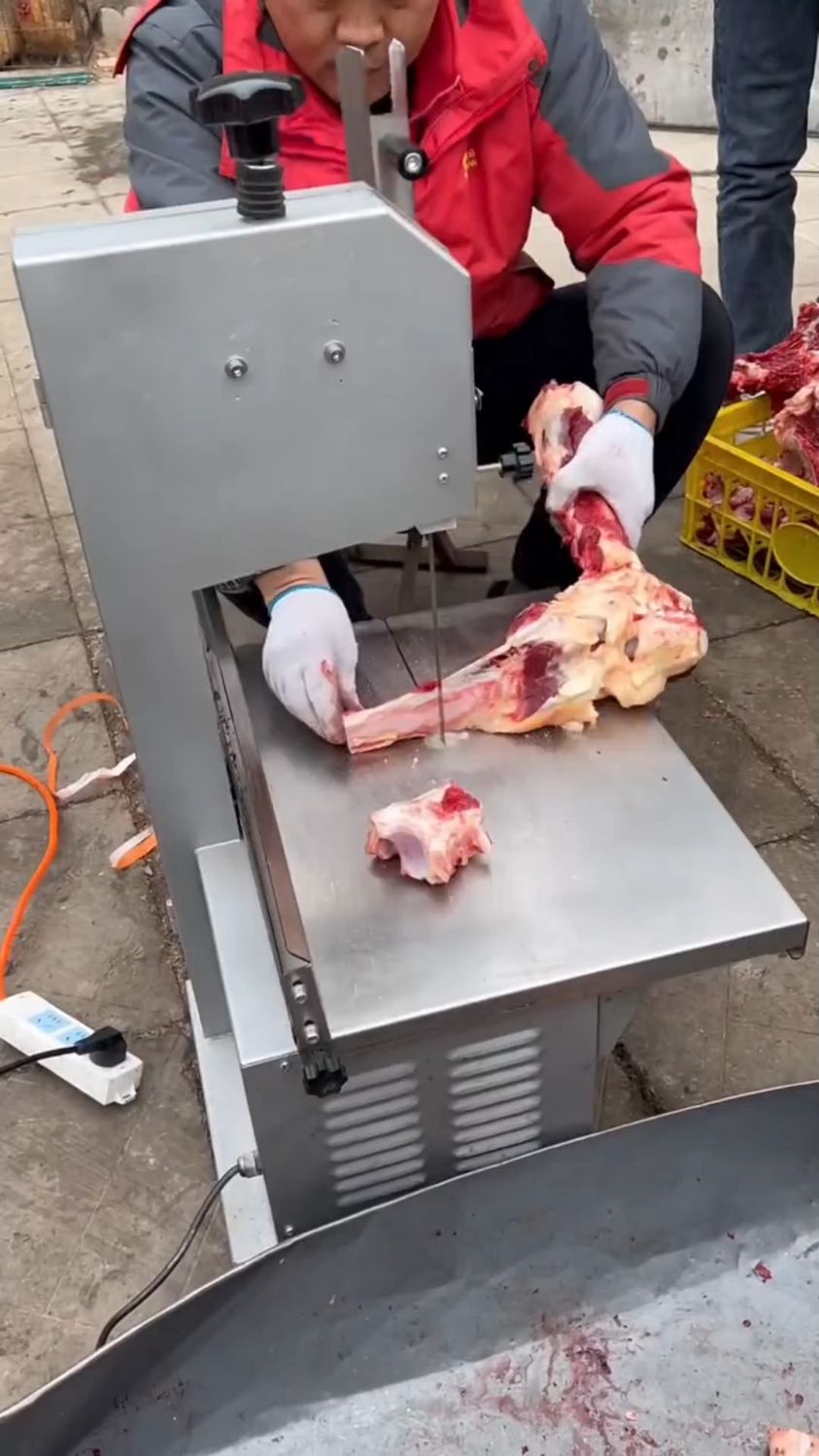 全自动小型锯骨机