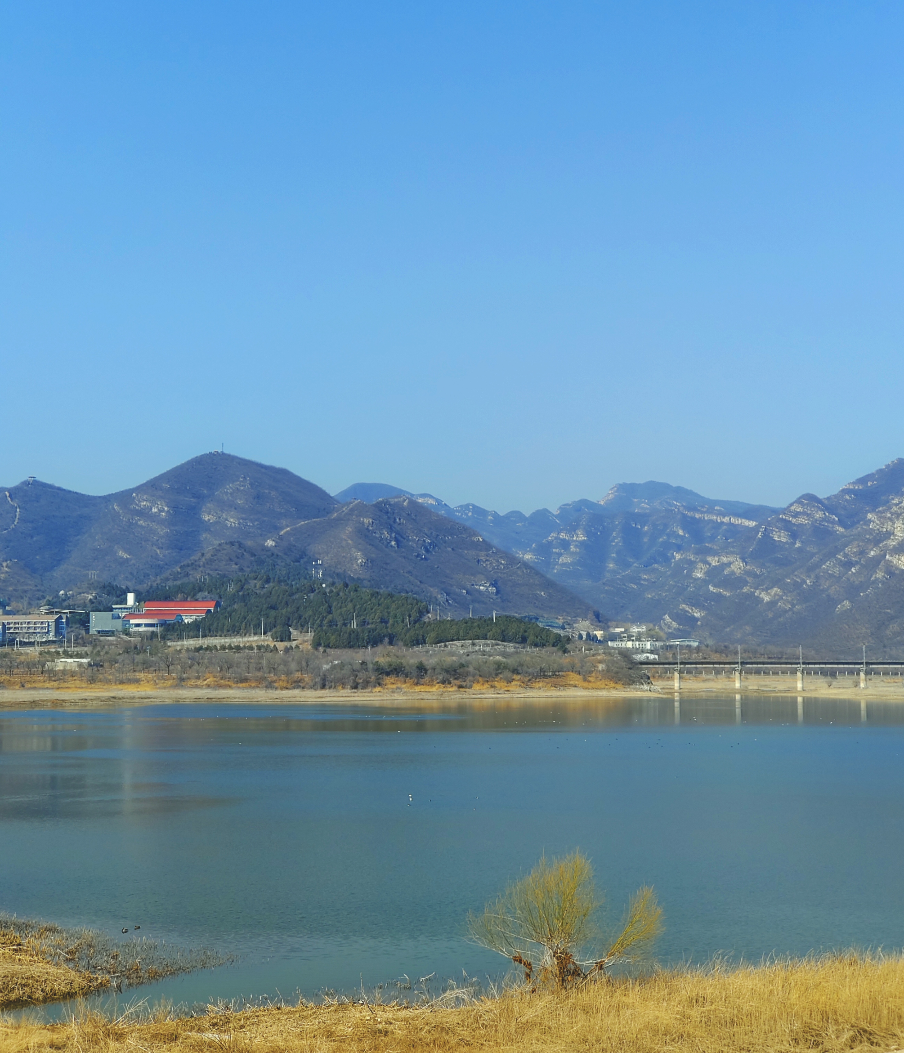 桃峪口水库探春