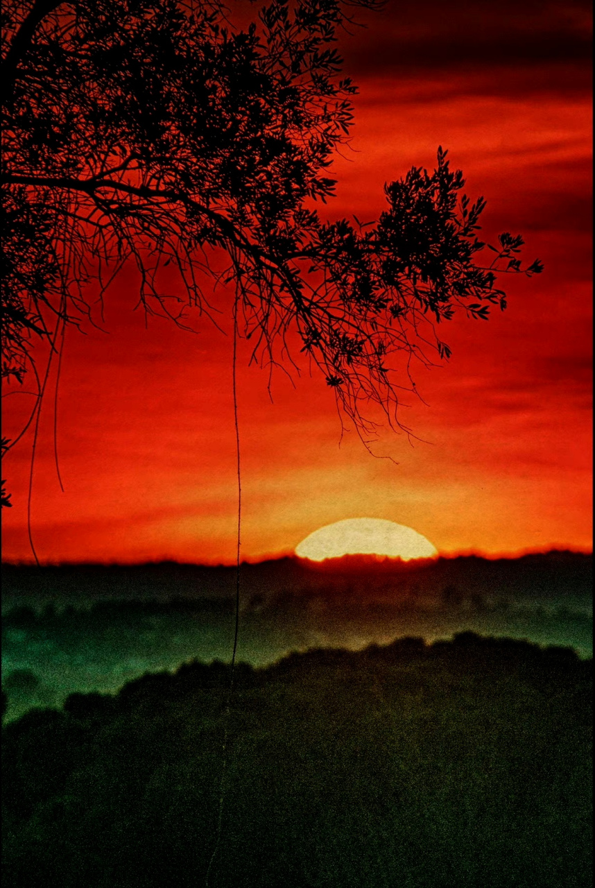 分享一组摄影师albarran cabrera拍摄的风景照片,滤镜运用给画面带来