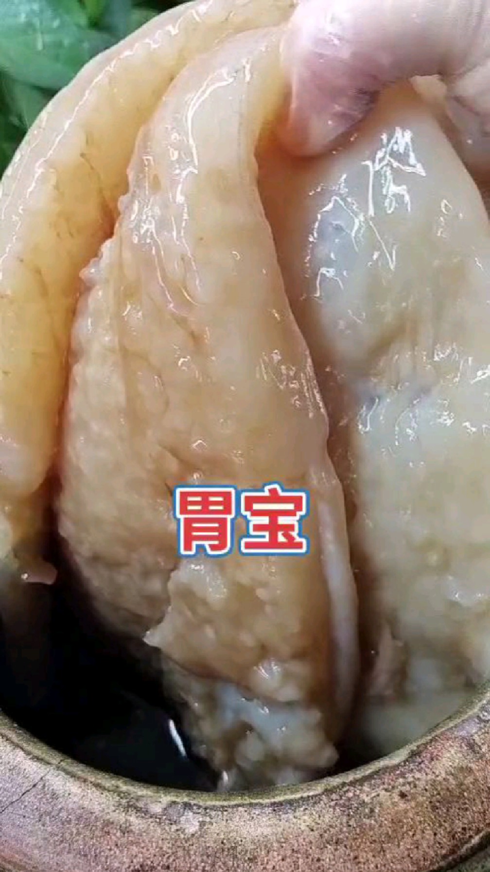 胃宝 #民间土方 #发酵菌 小物件大能量