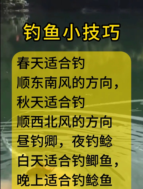 四句口诀就能轻松解决你的钓鱼问题,让你不再迷茫!
