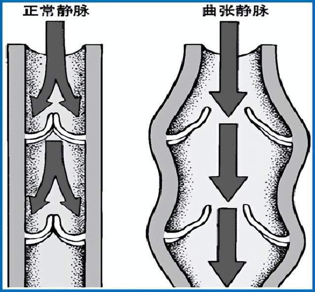 科普专栏