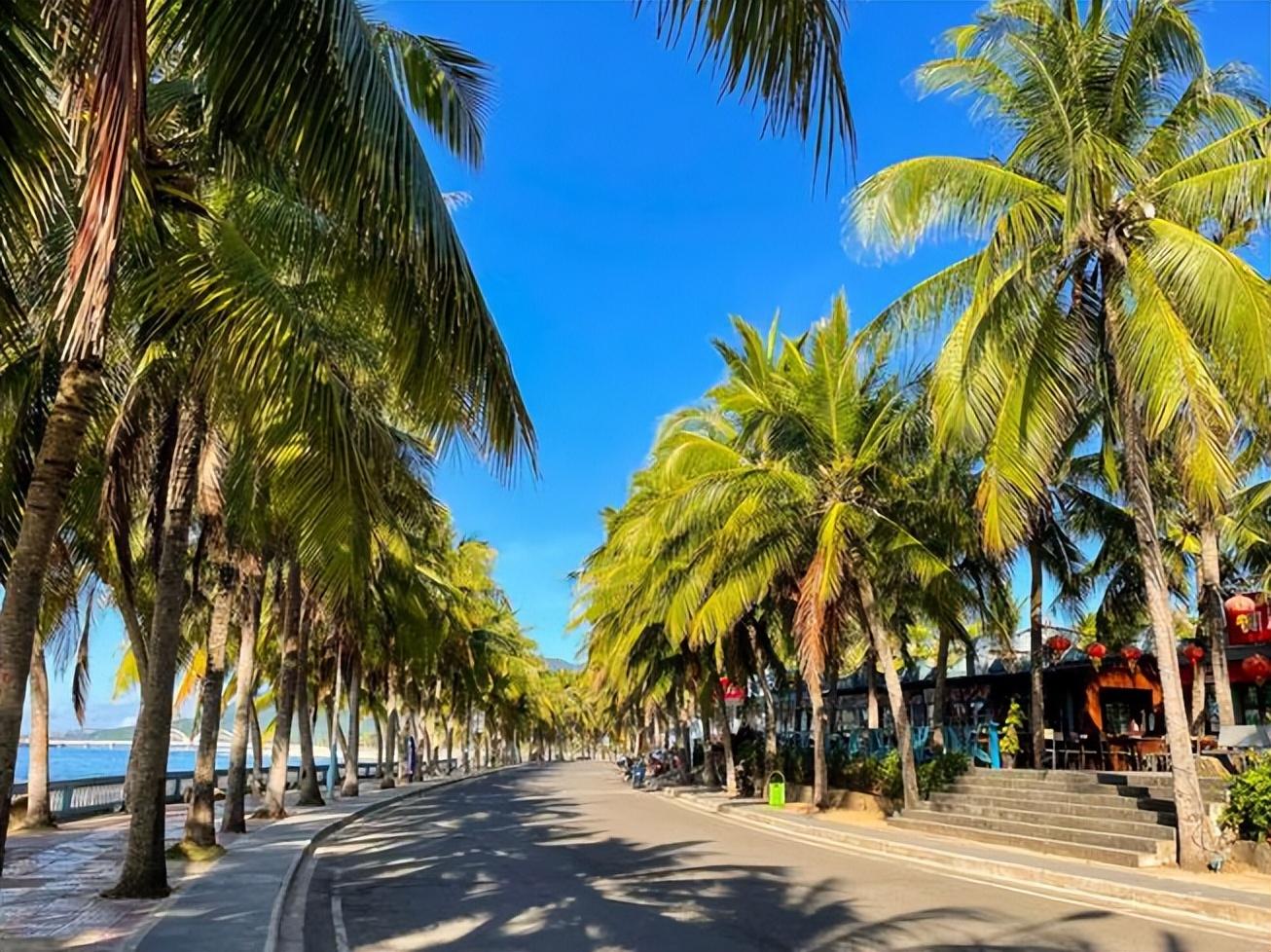 纪实为何海南如今不再是过冬的第一选择海南有哪些问题