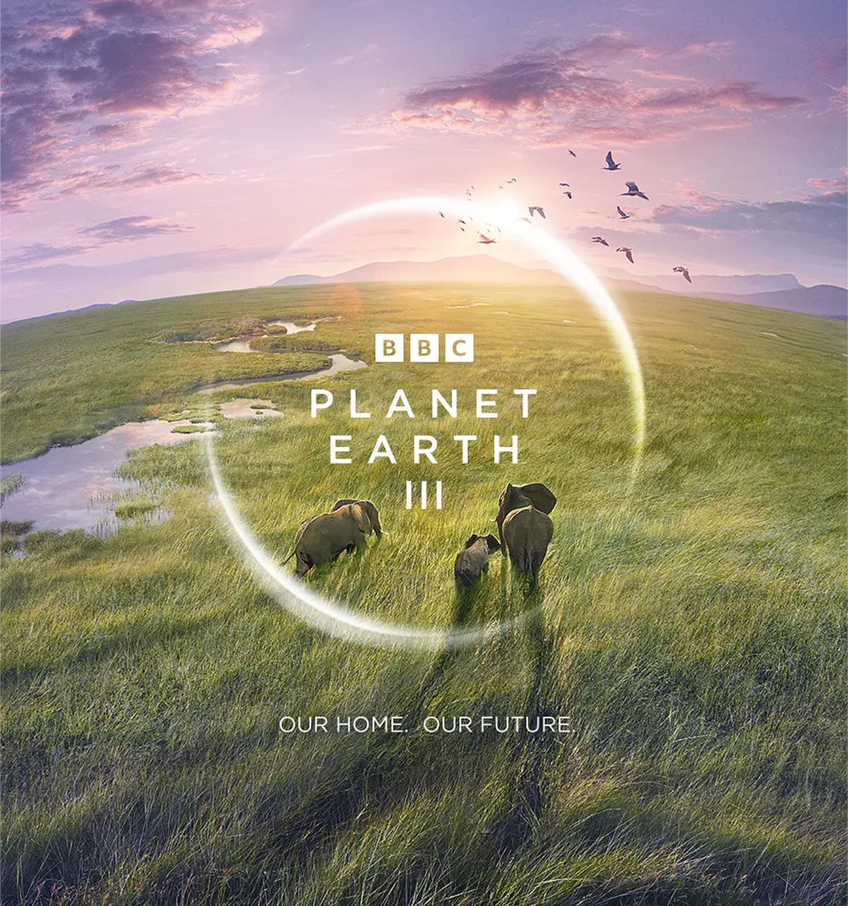 纪录片展现生物生存技能与适应力之美妙景象