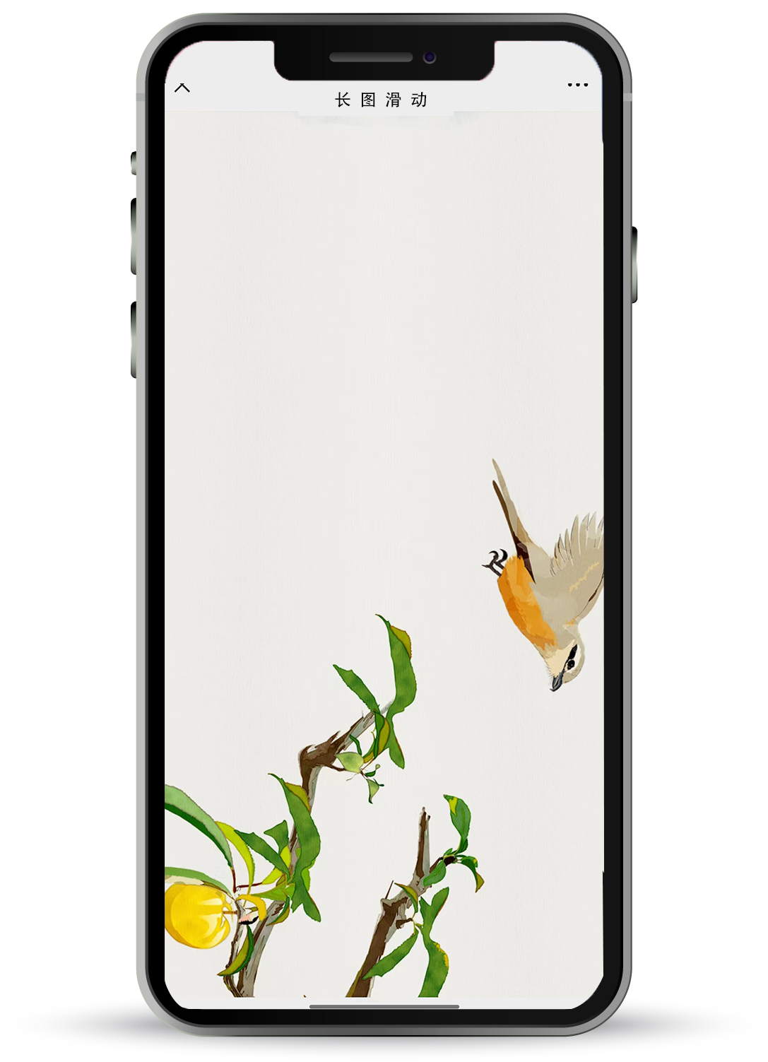 一篇文章带你认识h5