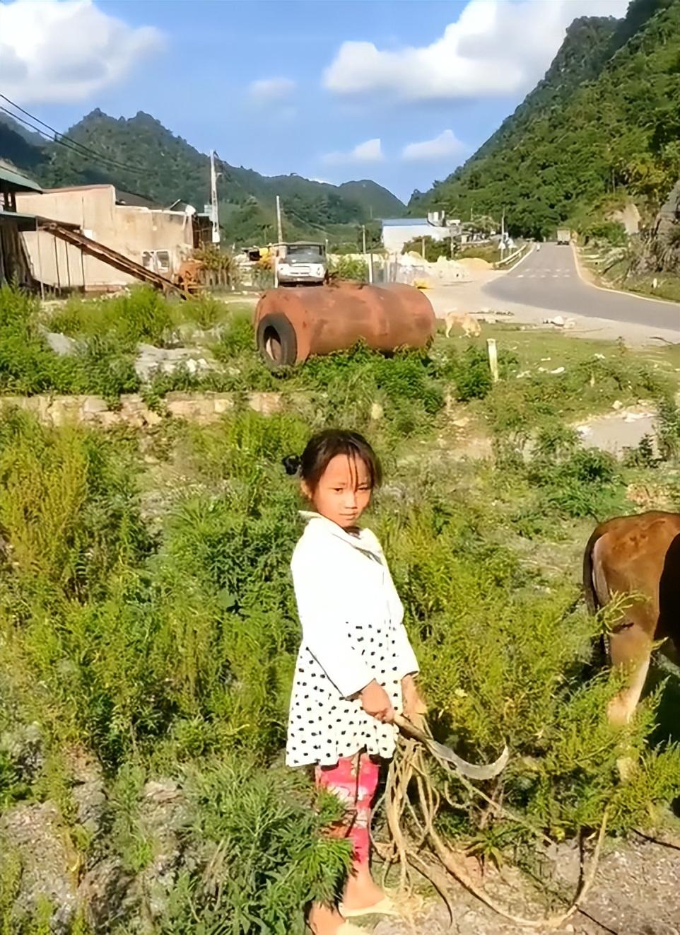 回顾 湖北小伙