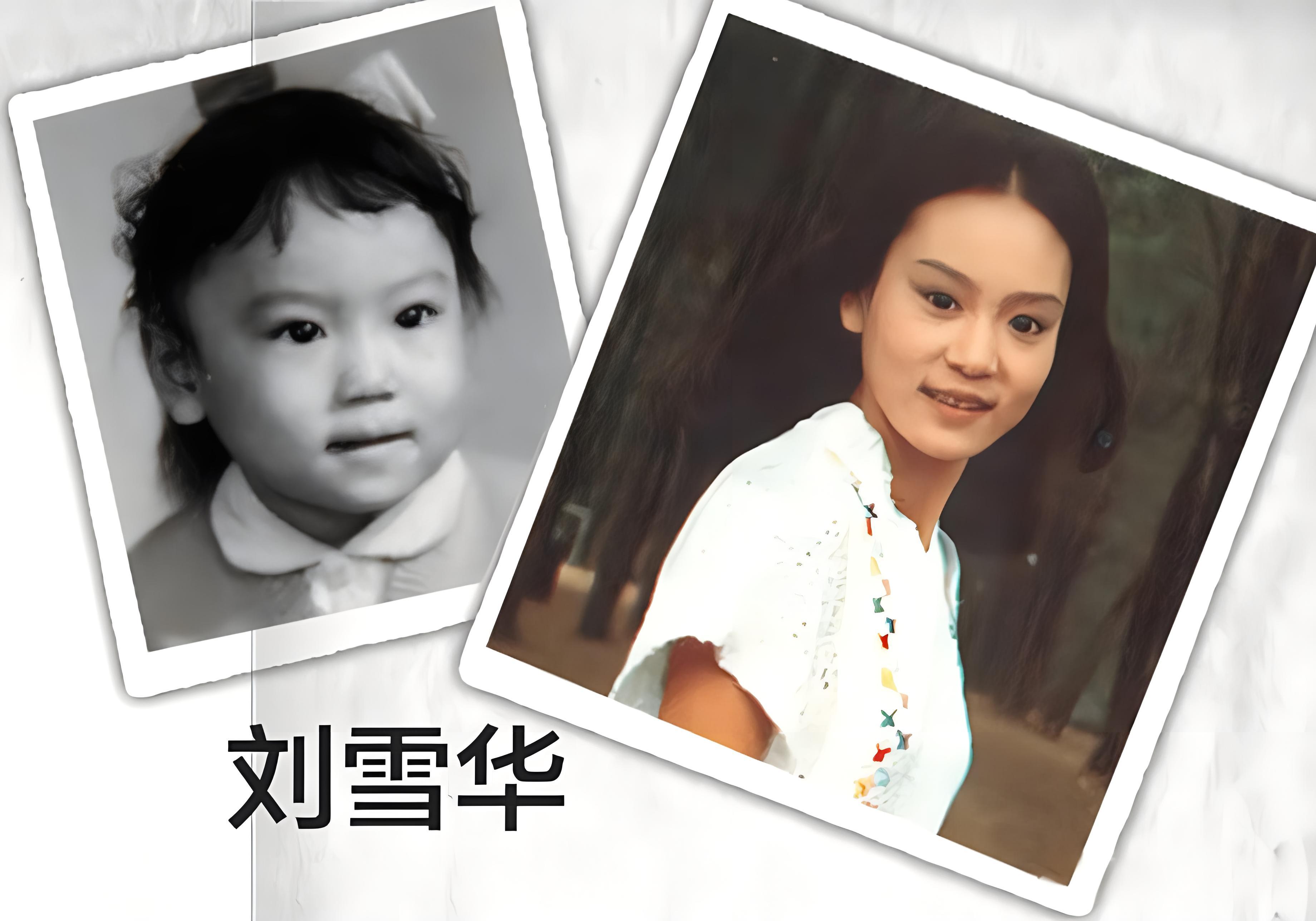 回顾65岁刘雪华独居13年全天开电视她的寂寥背后是多少人的痛