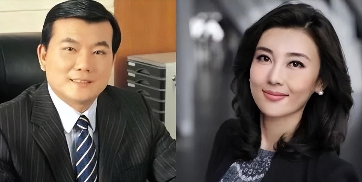 回顾央视女主持李红被誉为全国男人的女神饱受家庭传闻的困扰