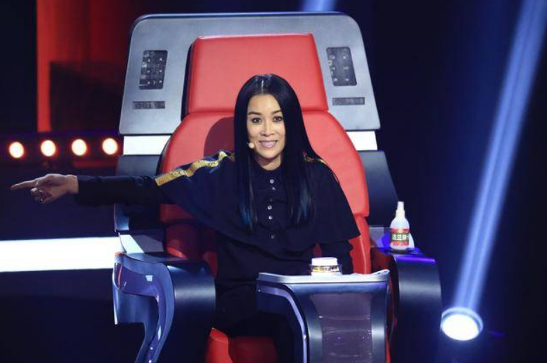 回顾那英被前任欺骗感情未婚先孕今和儿子被孟桐宠成宝很幸福