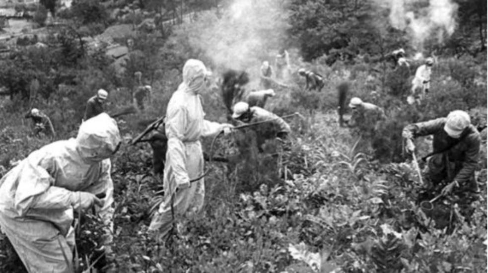 日本731部队为何出现韩战场美情报人员1980年揭露细菌战往事