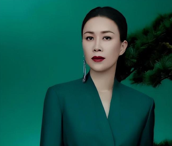 回顾那英被前任欺骗感情未婚先孕今和儿子被孟桐宠成宝很幸福