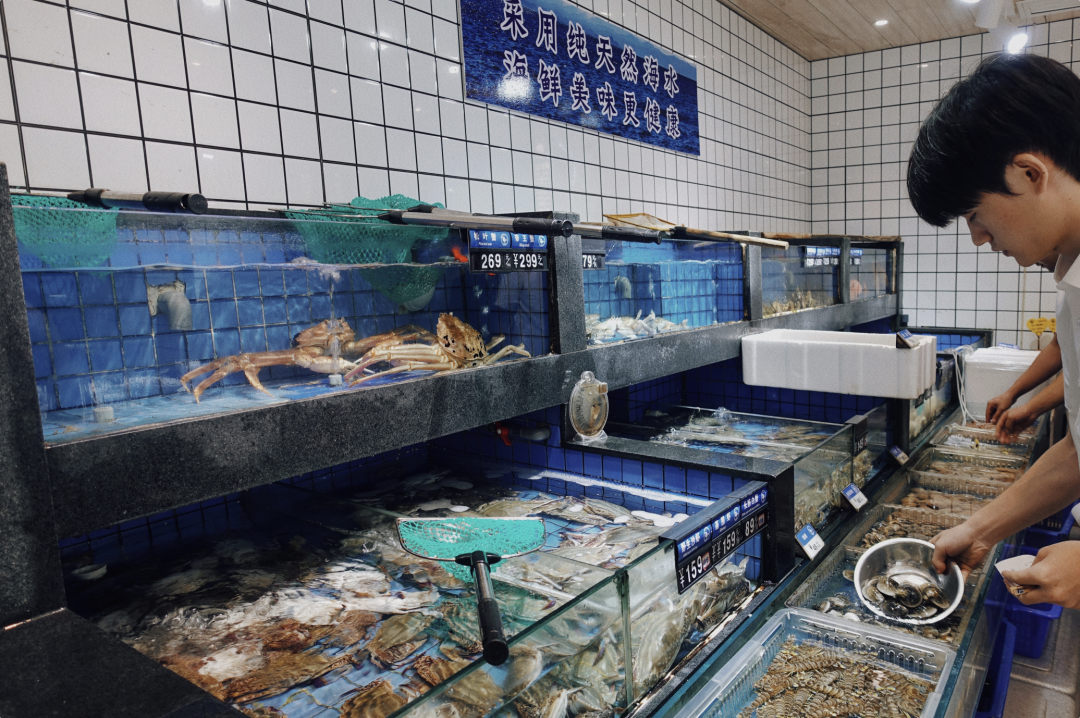 开渔期的宁波菜市场简直可以当作景点来逛