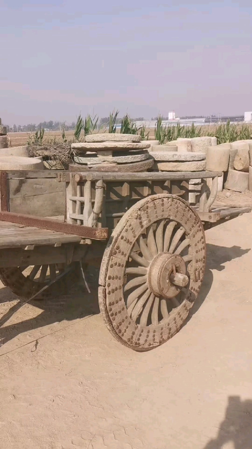 这么大的一个大马车你们小时候见过吗-度小视