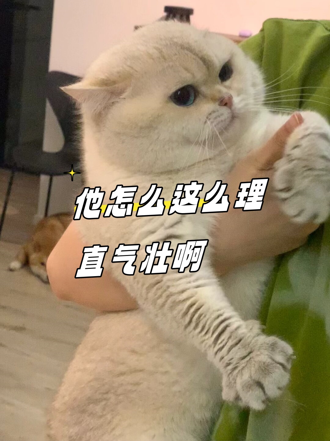 他怎么这么理直气壮啊