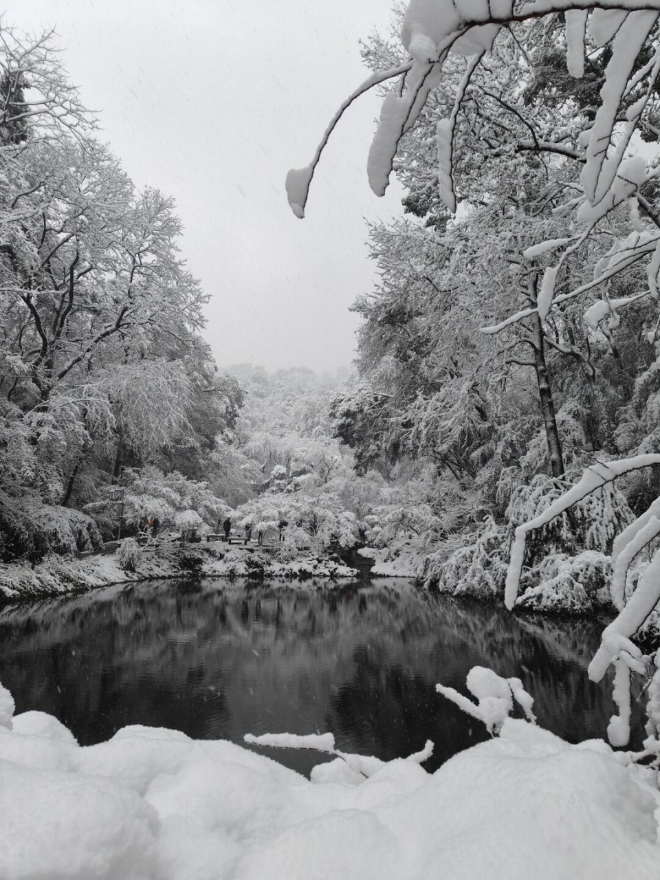 长沙岳麓山雪景图片