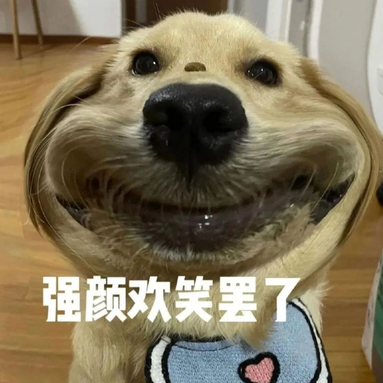 苦笑表情包 有没有和我一样,在尴尬到不知所措的时候,只能发个苦笑