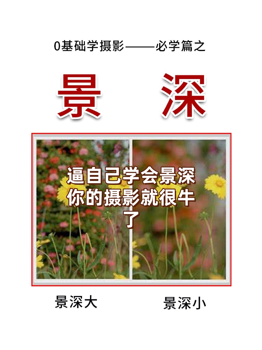 摄影深景拍摄教程图片，技巧大全