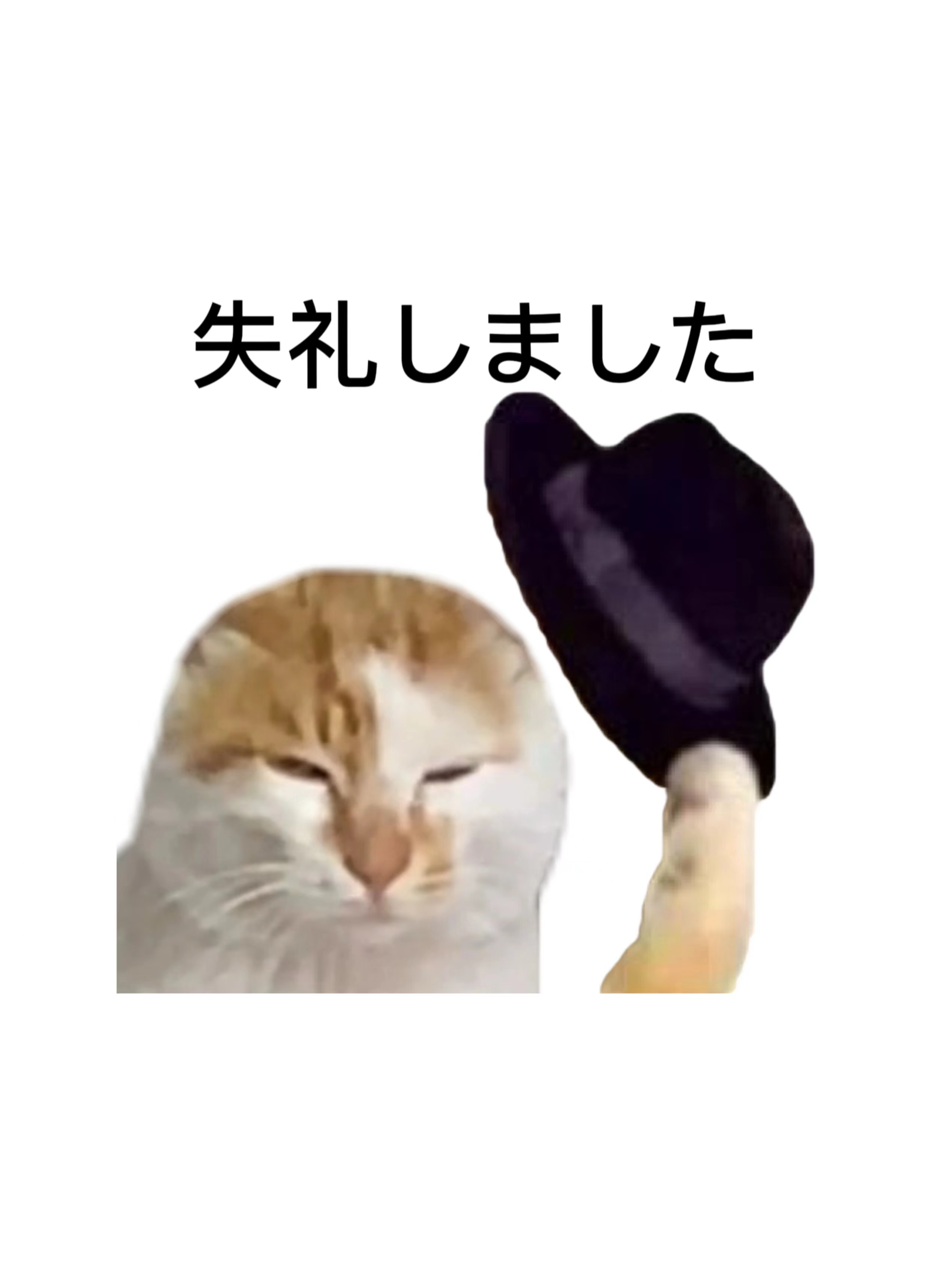 不好意思的表情包