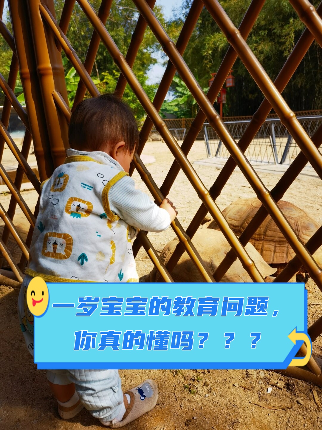 快来看看吧 1 亲子互动和宝宝玩耍拥抱对话建立亲密关系