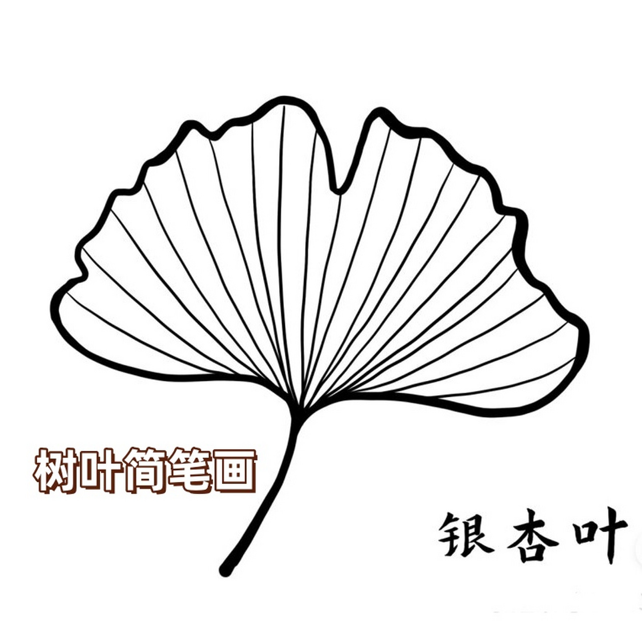 🎨哈喽小伙伴们,今天我要教大家一个超有趣的小技巧