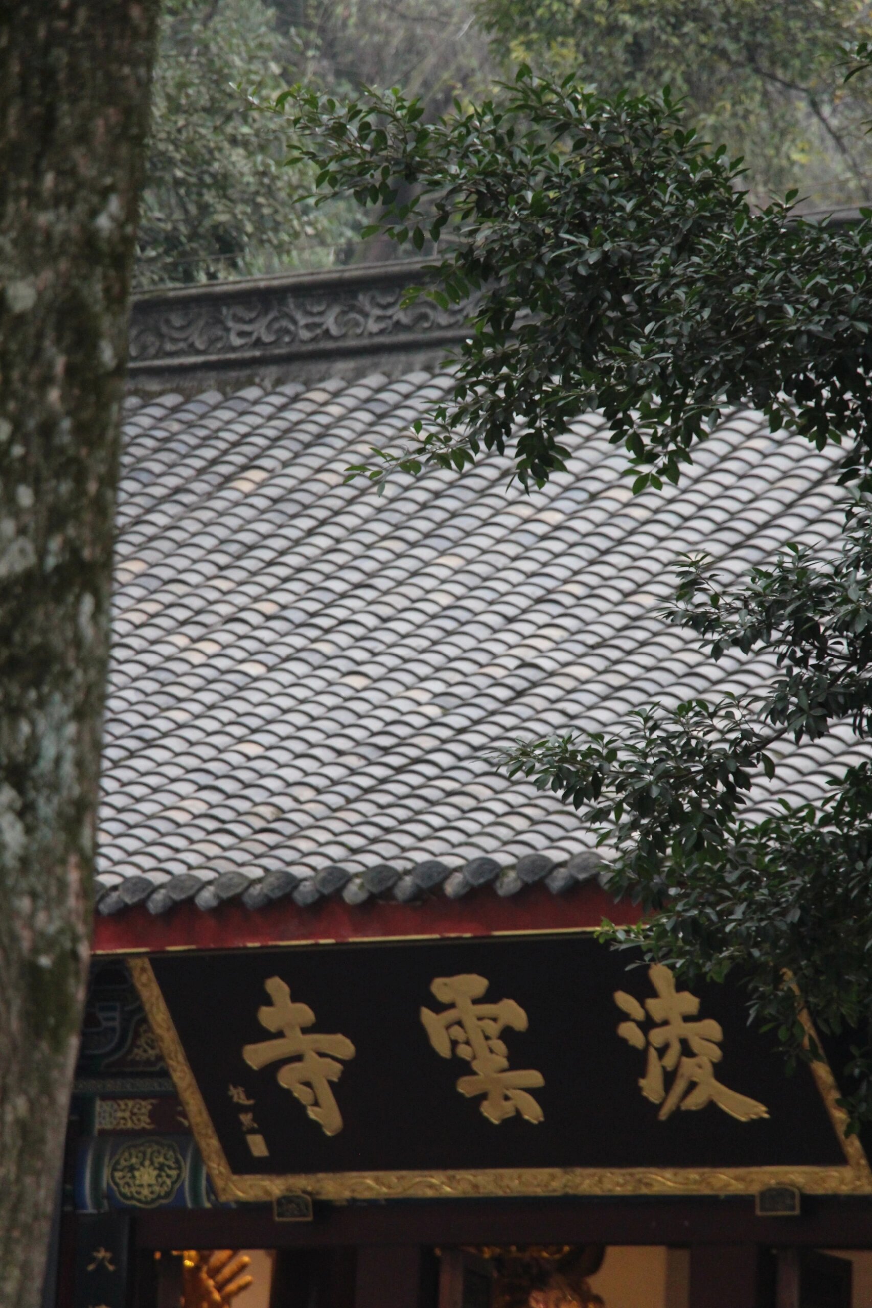 带你们走进一座千年古刹凌云寺  在这里,有一尊庄严的观自在菩萨像,它