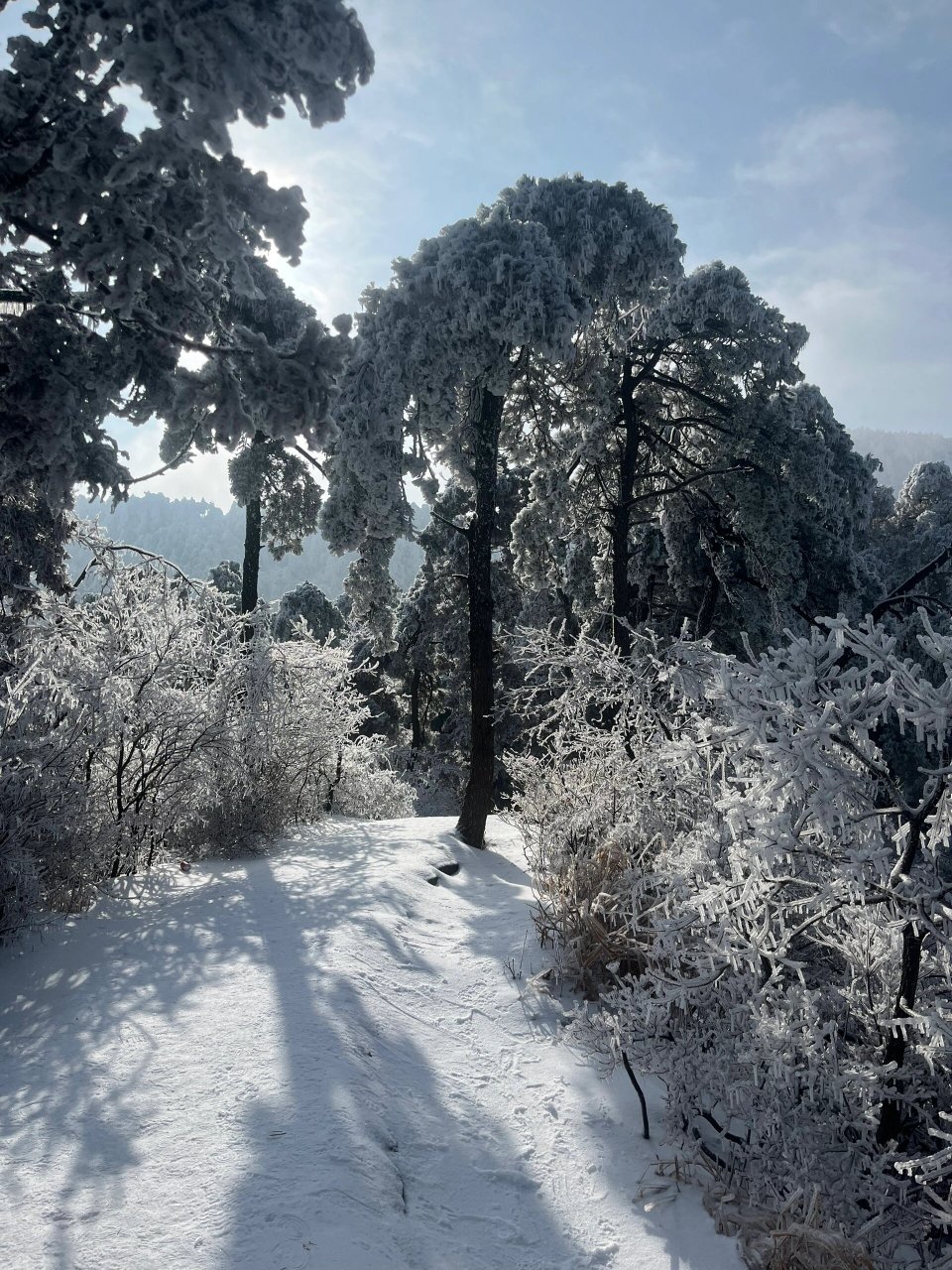 2022年庐山雪景图片