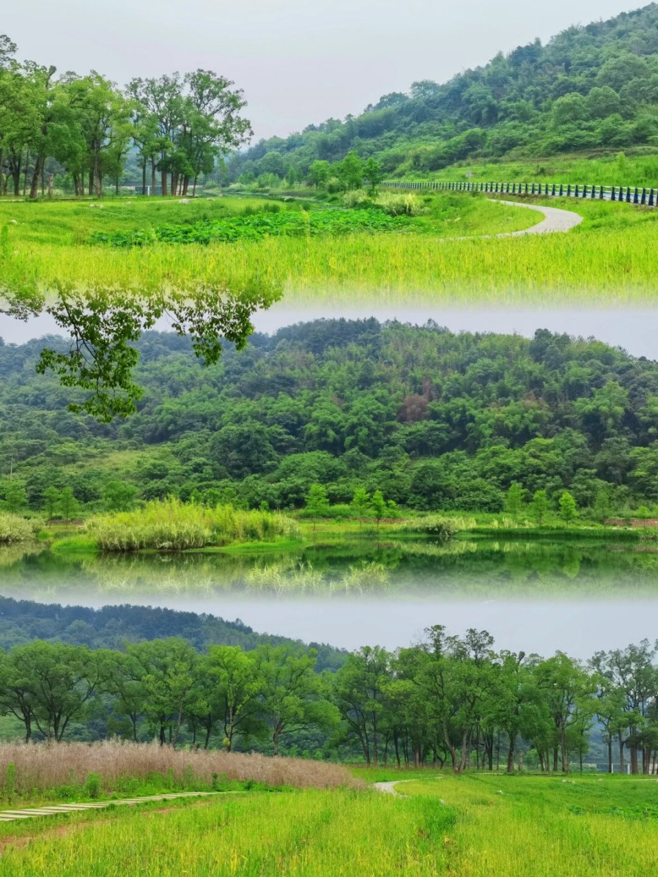 重庆柏林水库图片