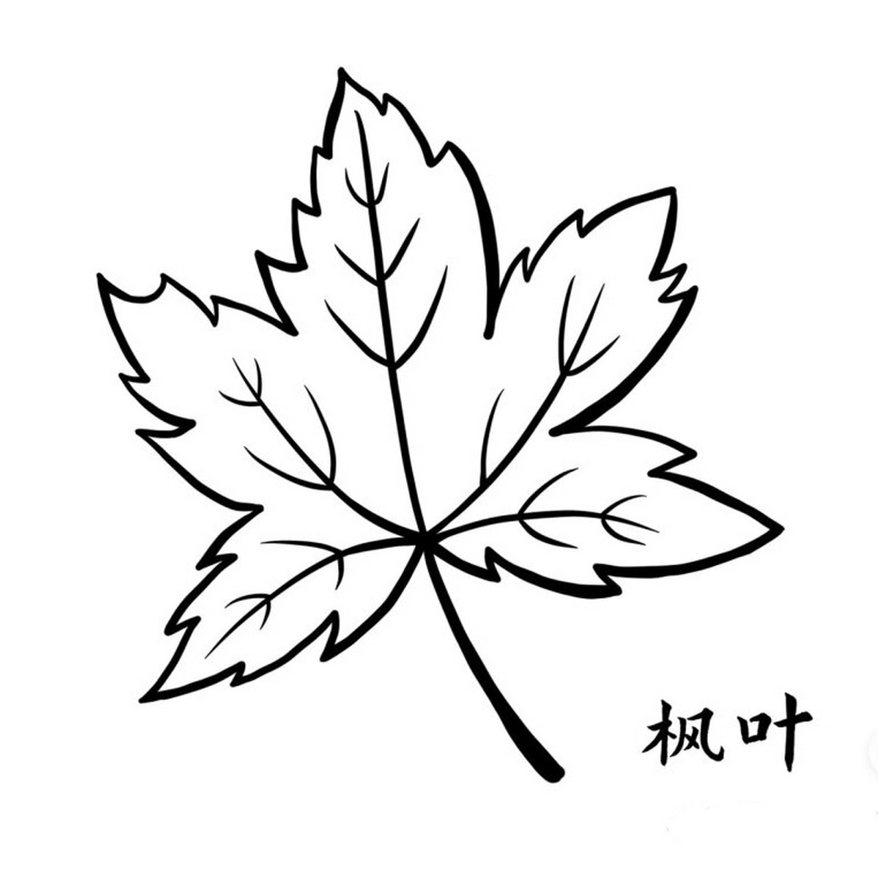 🎨哈喽小伙伴们,今天我要教大家一个超有趣的小技巧