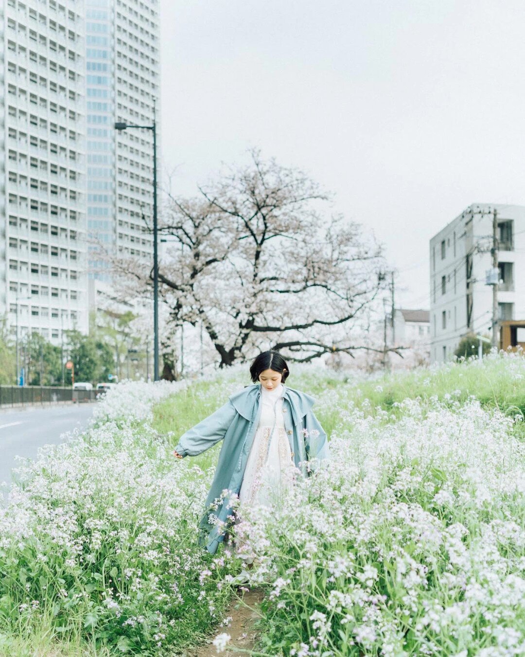 日系高级感樱花人像  春日的樱花